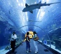 Dubai Mall Aquarium